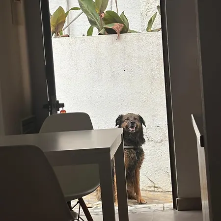 Ferienhaus Mira-mar *